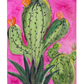 Cacti Clan - Sat. 29th August 6-8PM