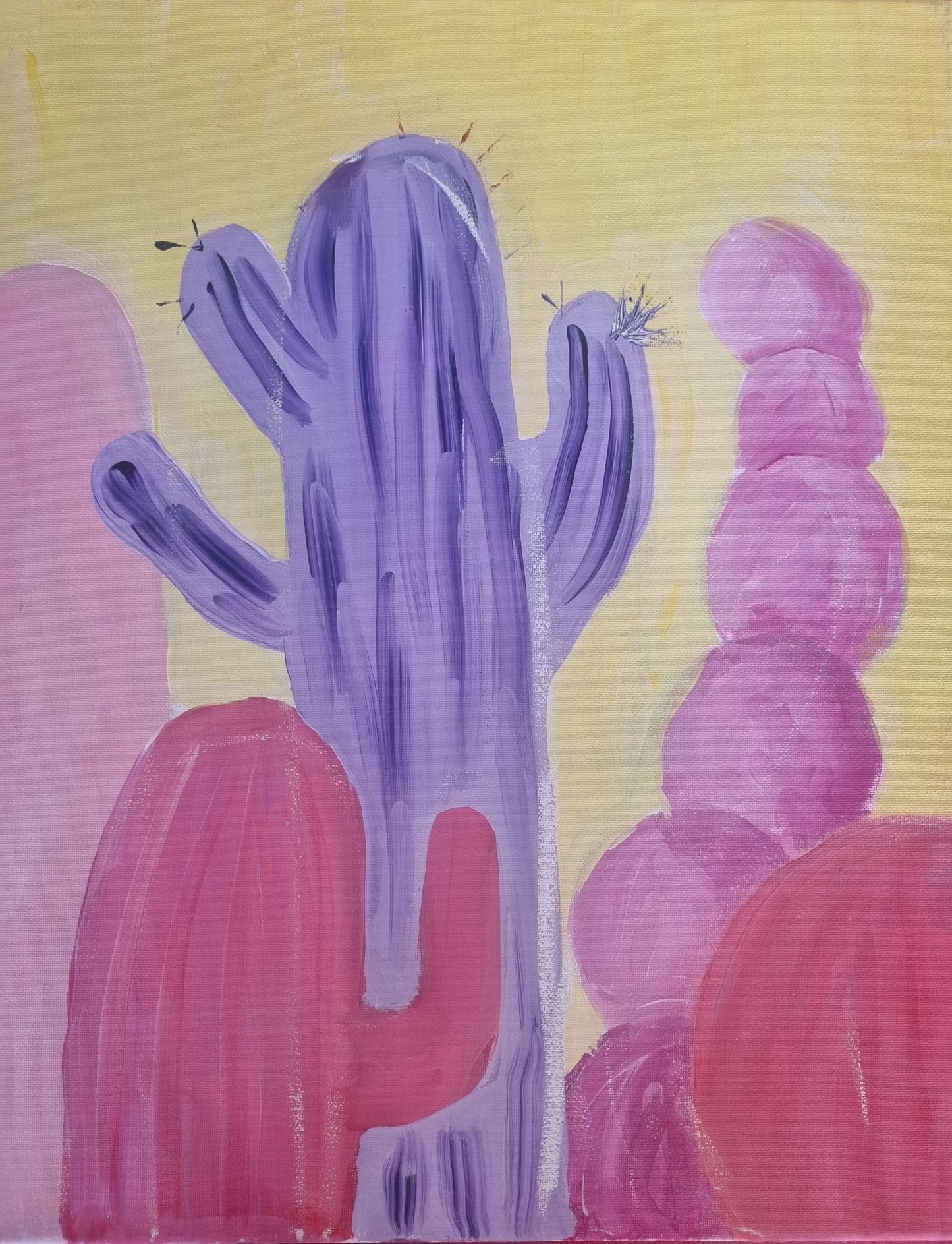 Desert Cacti - Sat. 28th FEB 6-8pm