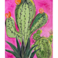 School Holidays -  Wed. 21st JAN 10am -12pm Colourful Cacti