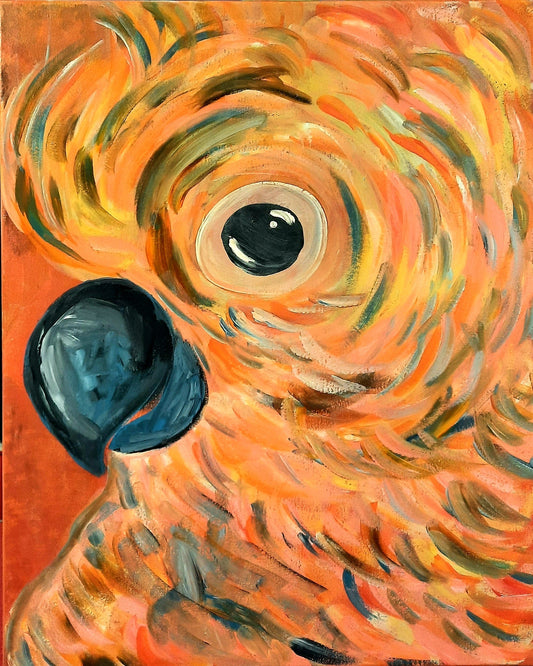 School Holidays -  THURSDAY 22nd JAN 10am -12pm Colourful Cocky