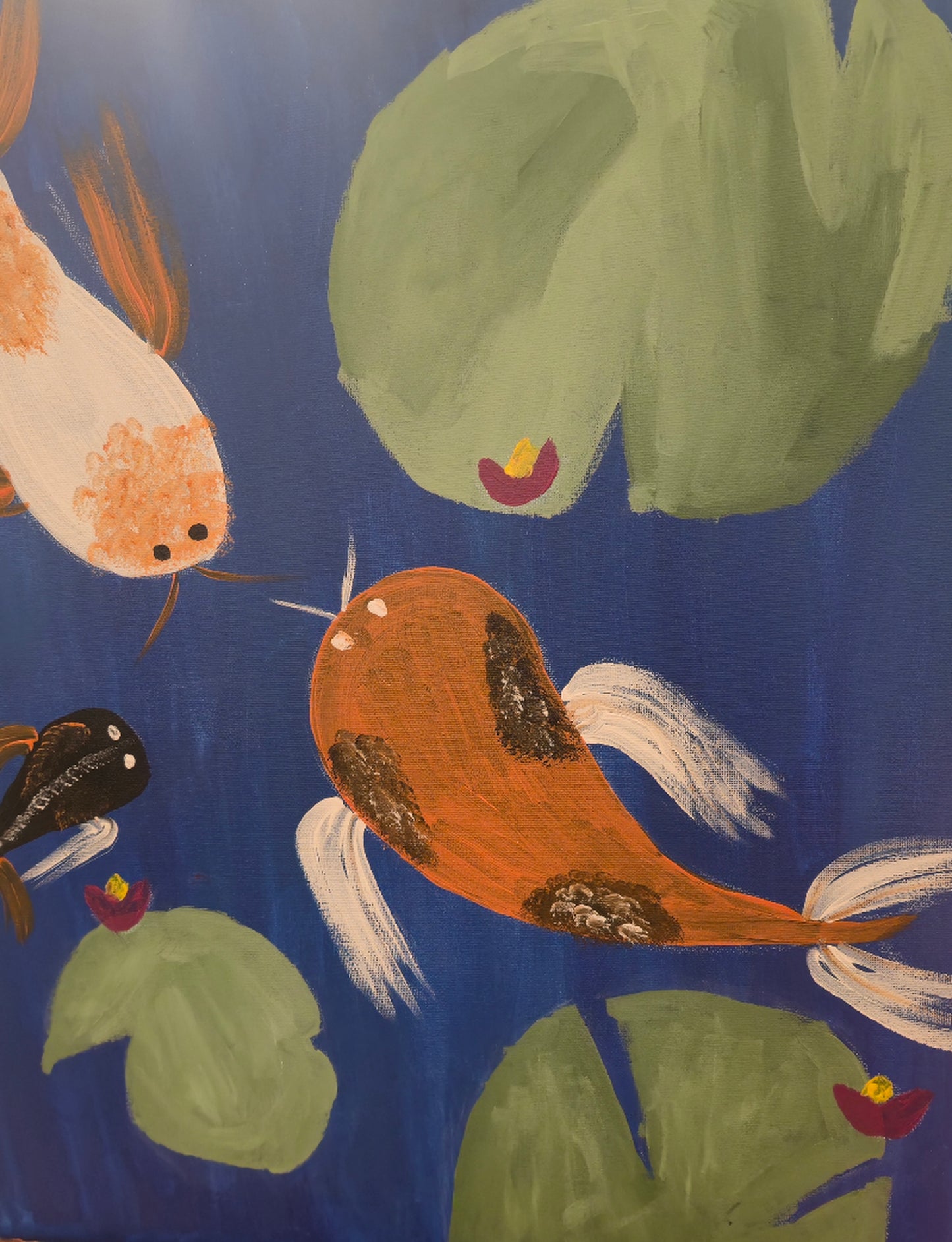 Coy Koi - Fri. 21st August 7-9PM