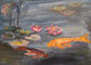 Coy Koi - Fri. 21st August 7-9PM